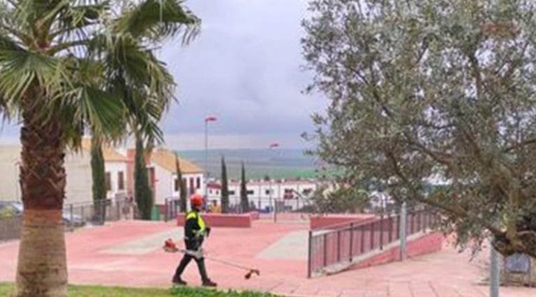 limpieza-jardines-800x444