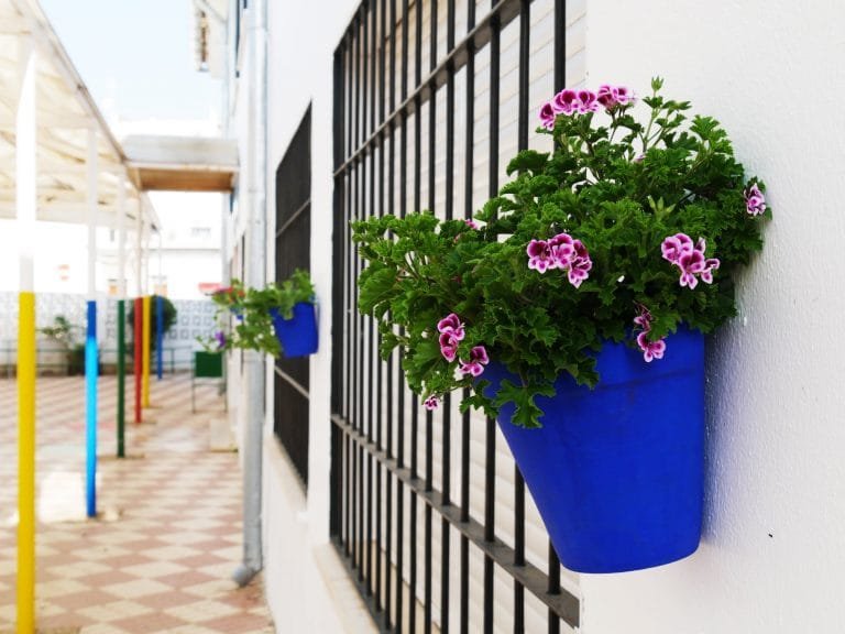 169750805_1963966347084828_4031873700771492205_n