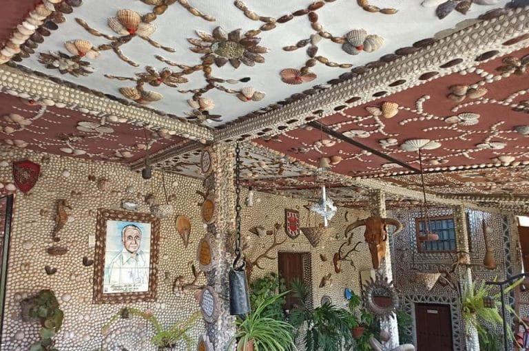 172706656_3800631399985361_1970421641919608996_n