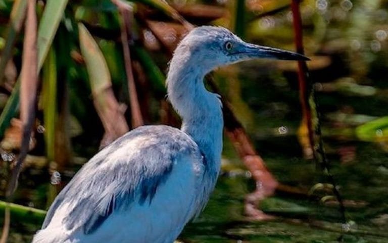 178115061_1979049165576546_8540436662990474819_n