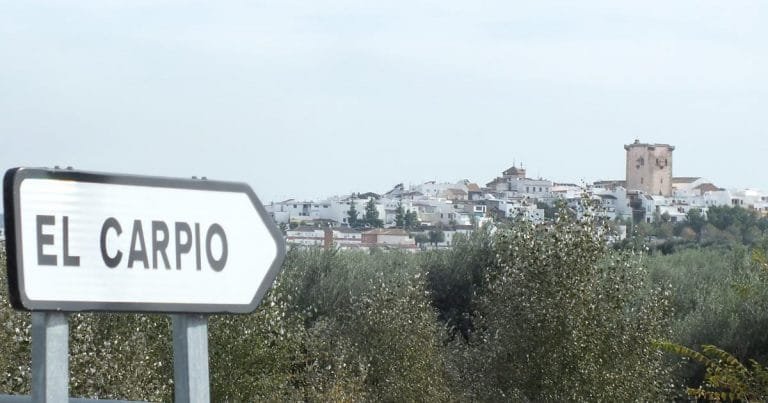 carpio