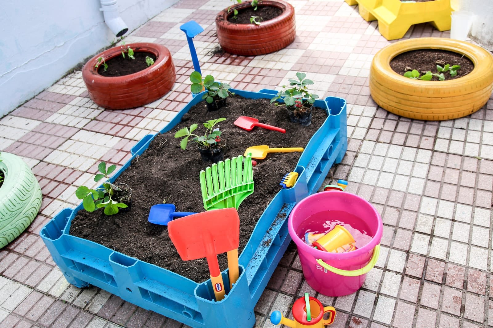 182673111_1987454744735988_6278699055954676914_n