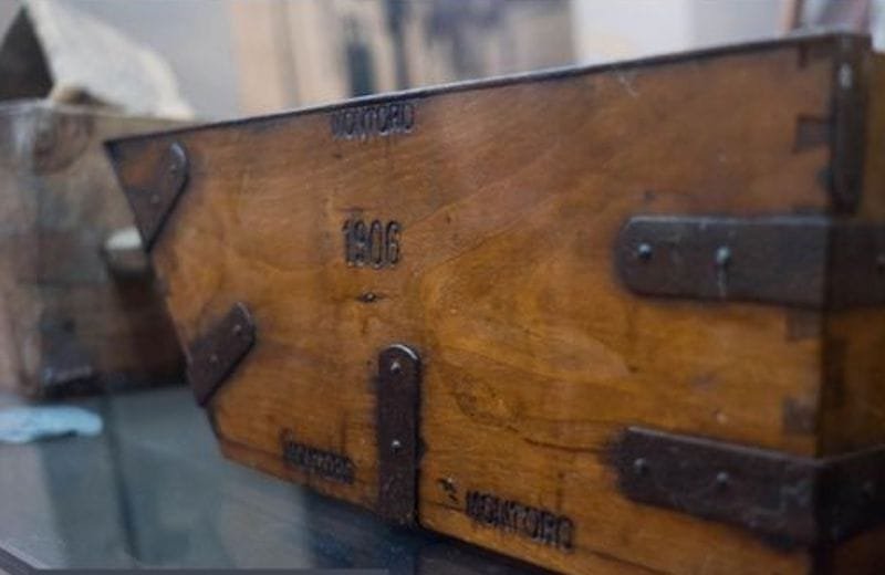 184035540_4117947818228606_8925363401864506402_n