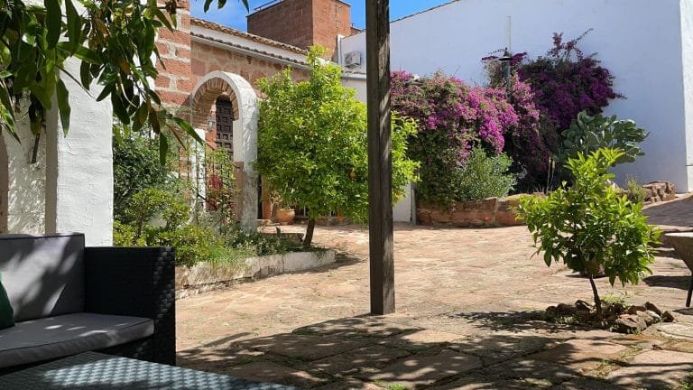 185202906_4125415534148501_74572201732777171_n