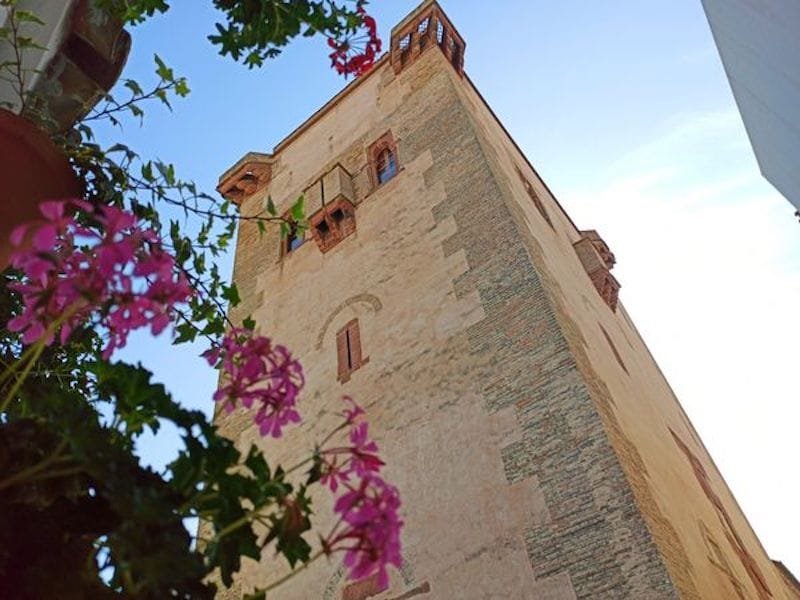 191721003_2006744842806978_3861831205590860385_n