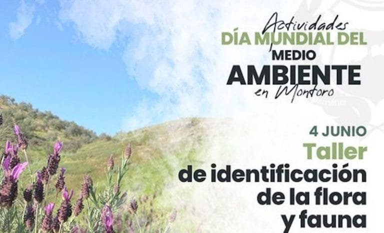 194323113_4187309347959119_2222016294214286612_n