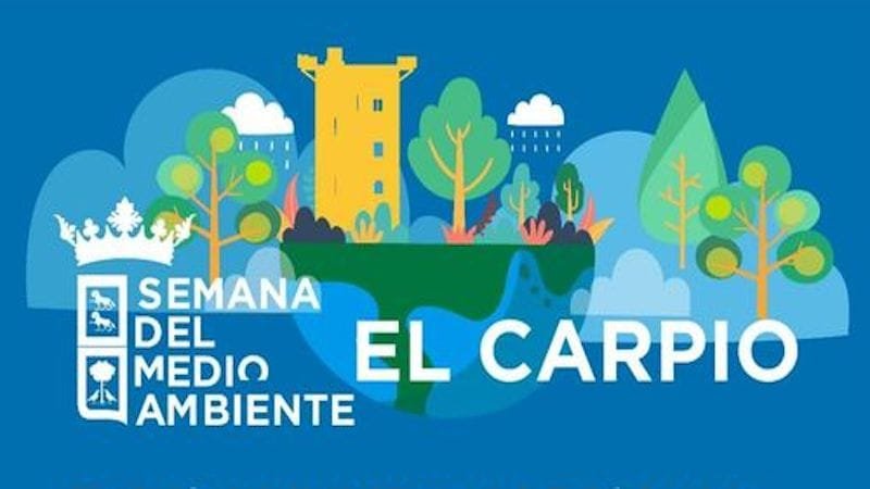 196853462_2013984335416362_9203046045068653660_n