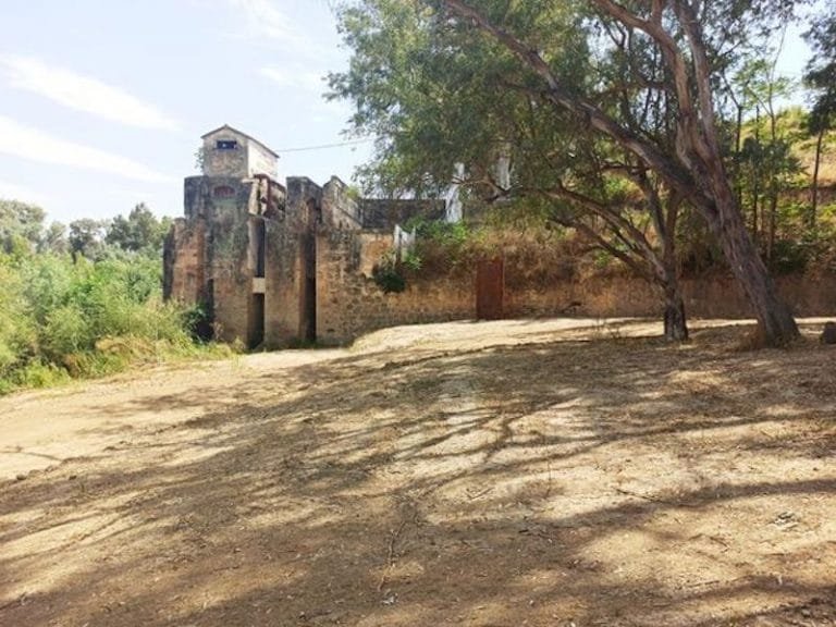 199442806_2021439824670813_1167161053646156061_n