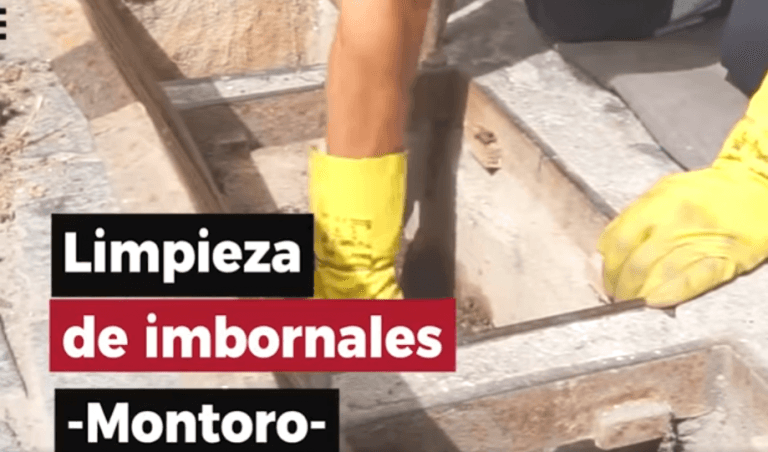 Captura de pantalla 2021-07-27 110413