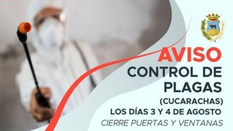 225602941_4352276494795736_2236420987629182038_n