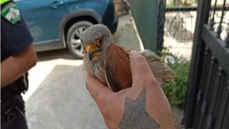 239843333_4945873845428240_7564812066356645501_n