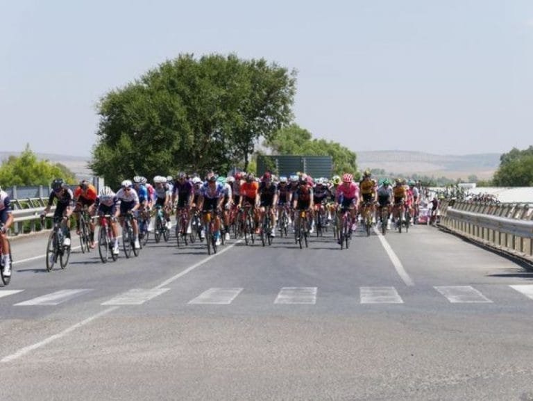 240659235_2078052112342917_868690737514981927_n