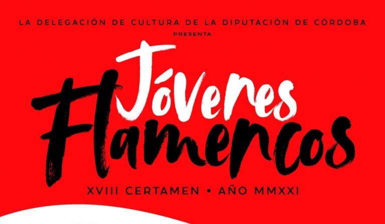 jovenes-flamencos-dos-torres