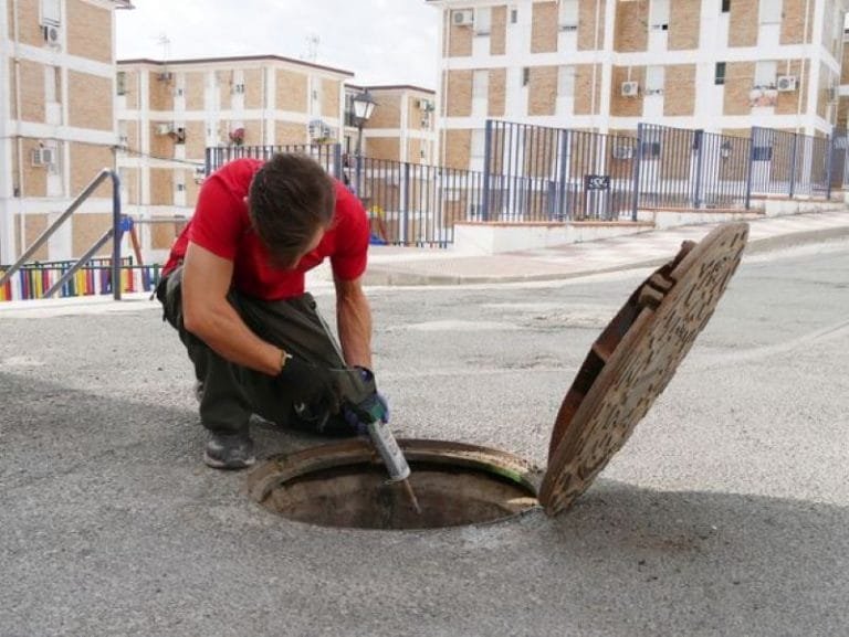 241121360_2082758501872278_1406600398293461795_n