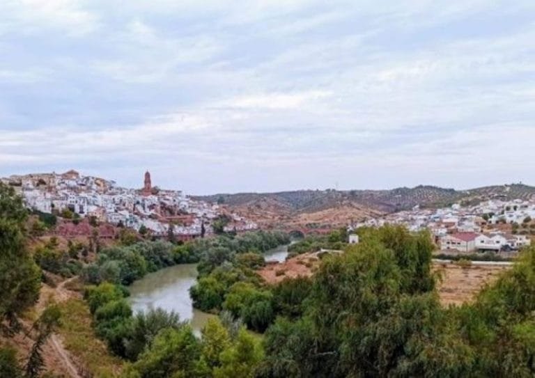 242193870_4629646233725426_6218868663244442294_n