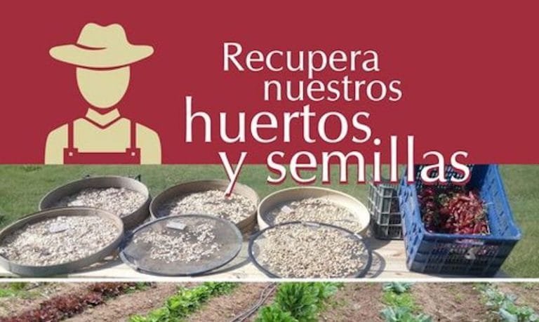 252488988_3069610216657841_8283239898103030563_n