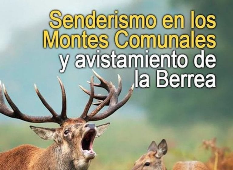 252721113_2135289226619205_5041063748571896726_n