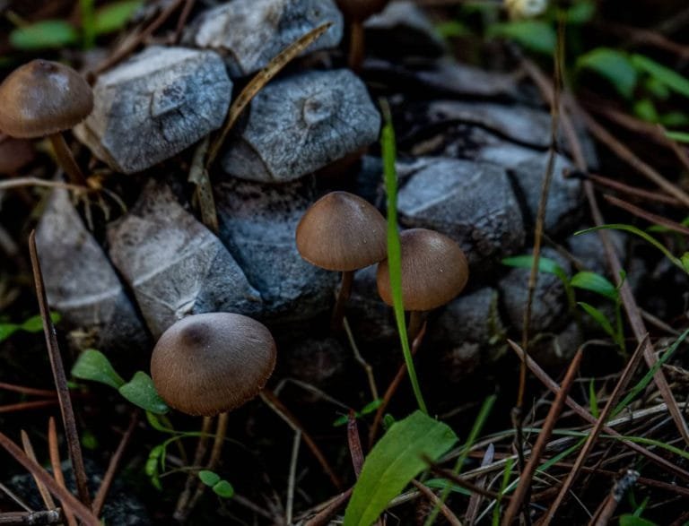 255521698_2142203699261091_8208615702268342857_n