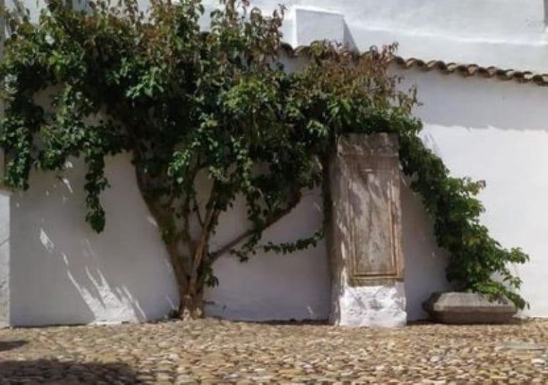 266480602_4790373514319363_8715029916867897141_n