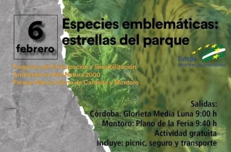 272660313_240350761603131_669423096374450513_n