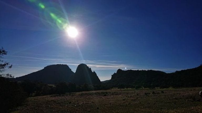 274101179_119976340598323_4661171439461221515_n