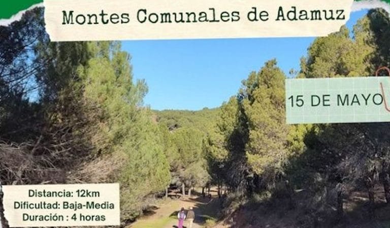 279632196_331374885774712_7352777546373236587_n