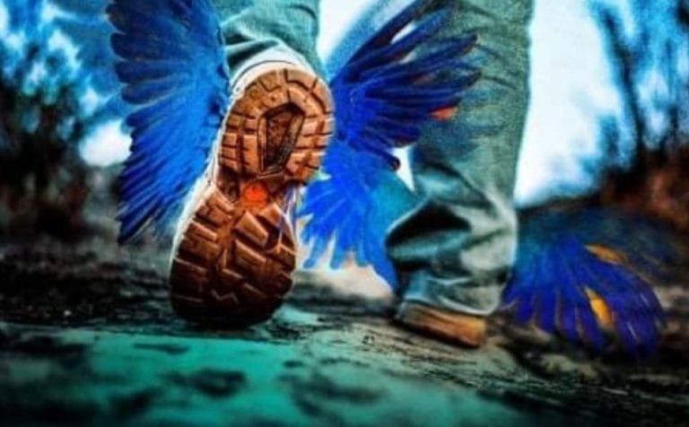 285489461_375336077962453_6928582696313726125_n