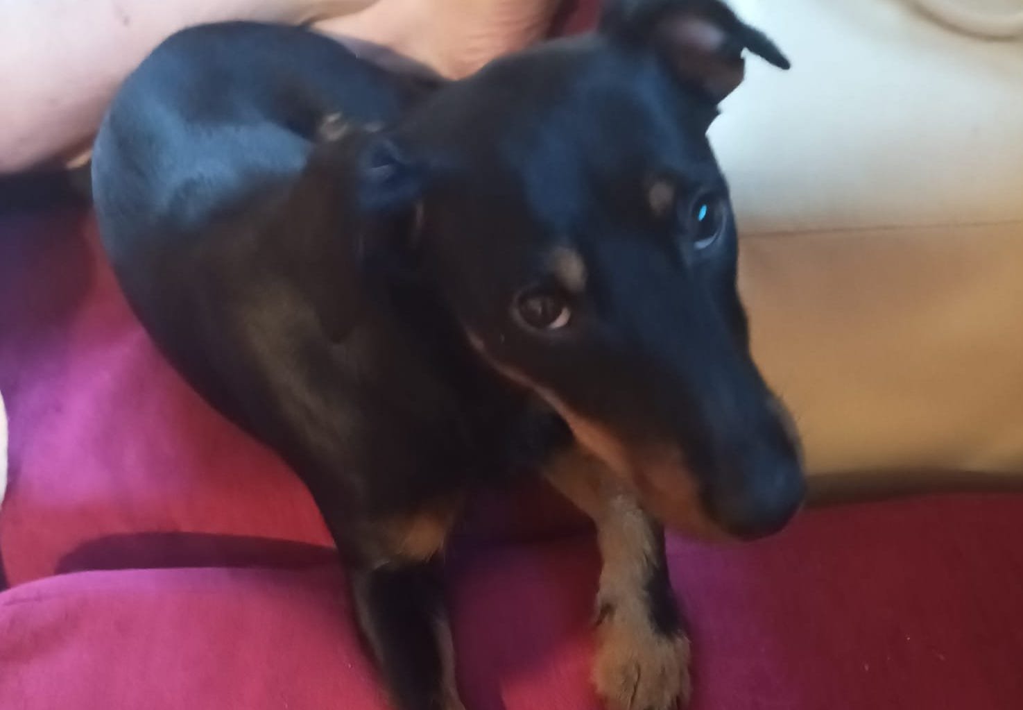 WhatsApp Image 2022-06-02 at 10.54.20 AM