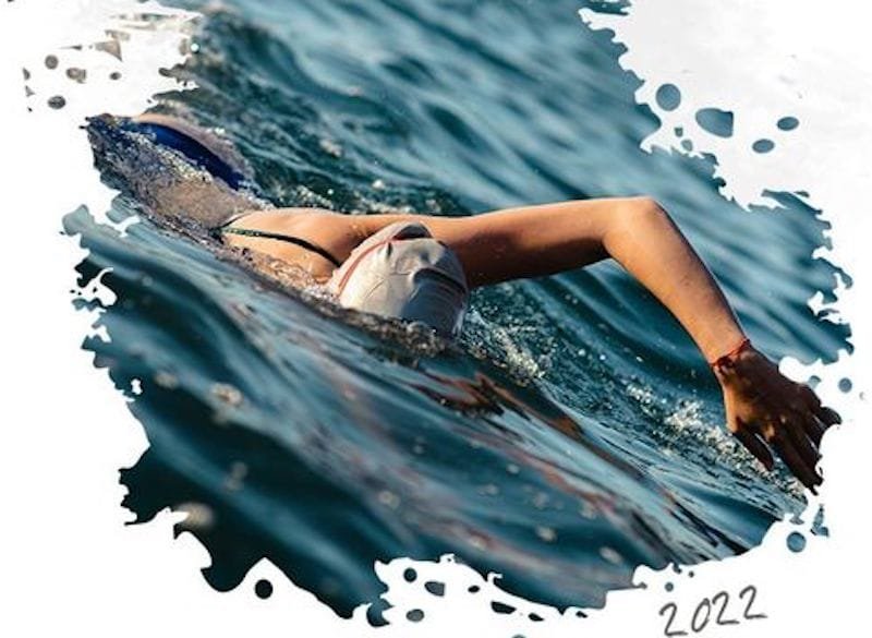 294625575_358989699739236_1360824053952795284_n