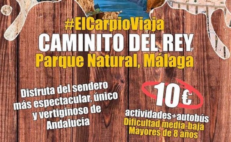 294738744_409056731257054_229271259785169571_n