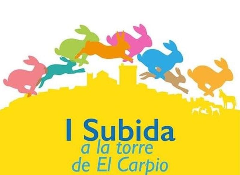 301032310_430494415779952_8221536067191136882_n