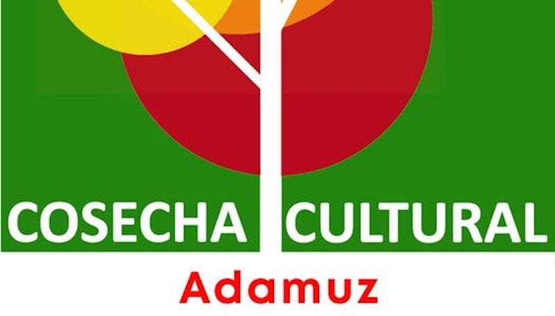 305669114_413608677551332_3747185438676323691_n