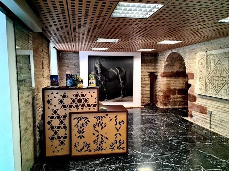 306615321_443700797792647_4470688326135577923_n