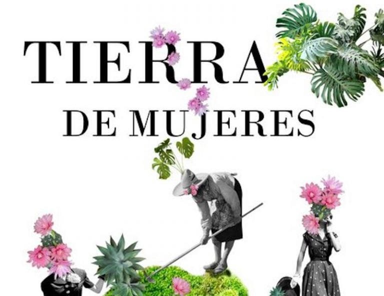 309584422_427596822819184_5931594035230303702_n