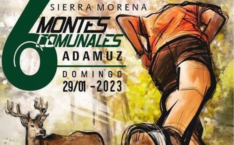 311826115_445109714401228_7984802119160373509_n