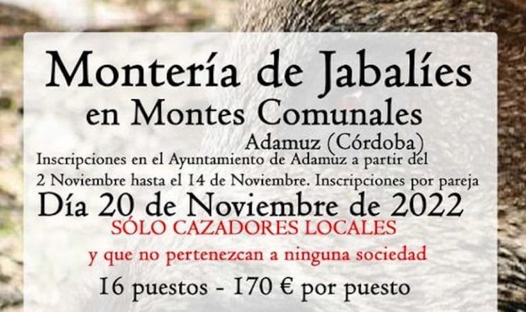 312493930_455103713401828_6962807196437198672_n