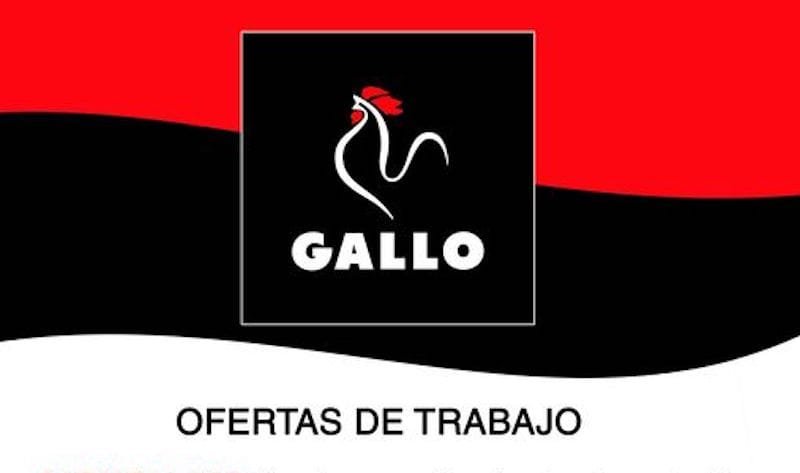 315799182_493807356115324_572731909407029627_n-1