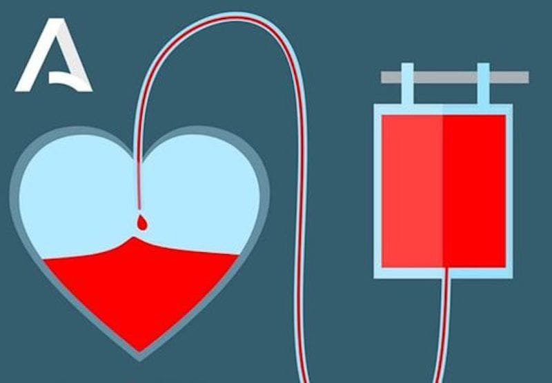 316406728_448245570813648_6980402738435860881_n