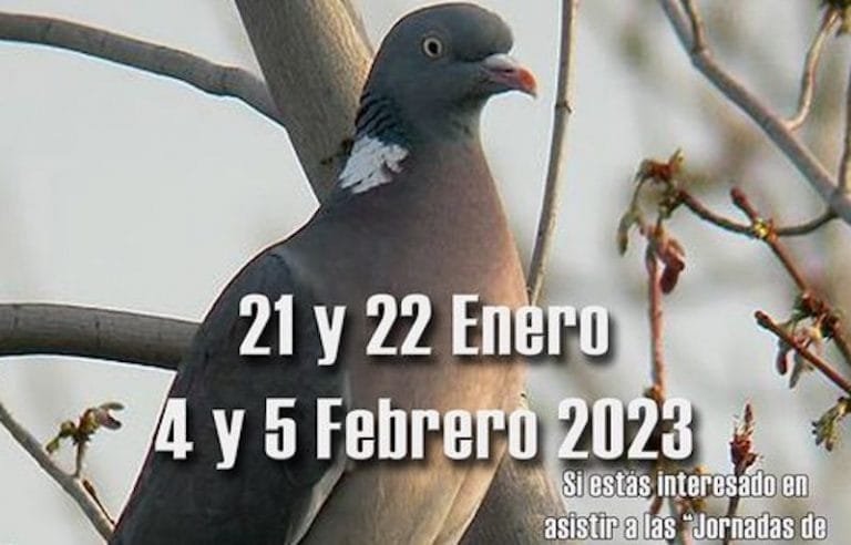 324858246_1358534914922878_2245842534974963065_n-1