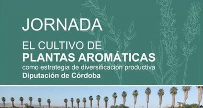 326086777_846408506649492_8387783893822670627_n