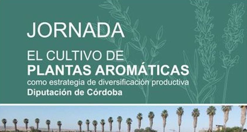 326086777_846408506649492_8387783893822670627_n