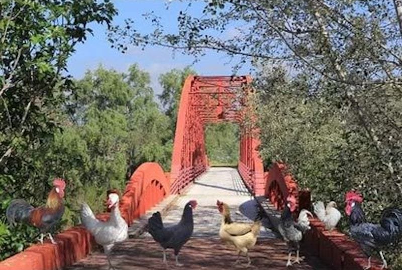 326328915_1559488687808182_9008781788173204876_n