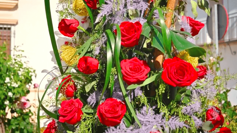 Captura de Pantalla 2023-01-20 a las 11.18.26