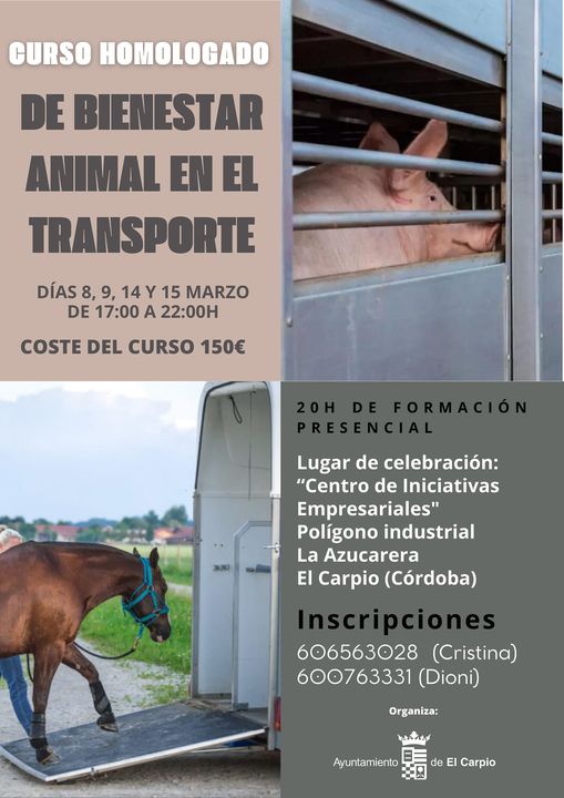Curso homologado de bienestar animal en el transporte