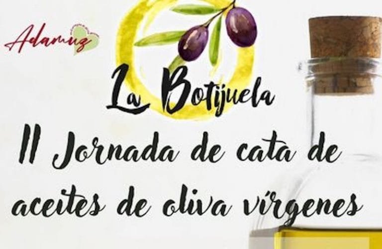 333528023_609035307745646_1088131887197141904_n