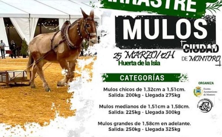 334585609_746481816936663_2896992946135448751_n-1