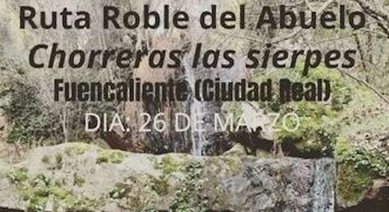 335876684_2283600341822897_3119140408051552352_n-2