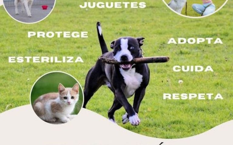 338520549_605692378085386_3914525928621788828_n