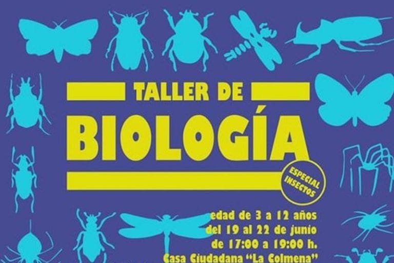 352822627_628637612632297_4817101773056909178_n