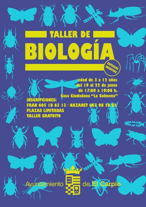 El Carpio | Taller de biología especial insectos